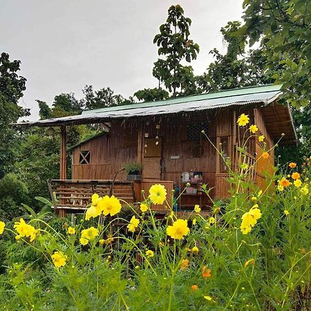 Baan 2 Dao Farmstay Чианг Дао Экстерьер фото
