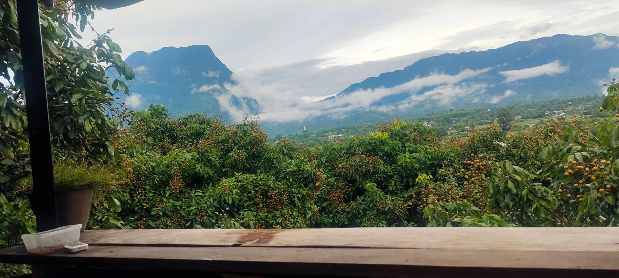 Baan 2 Dao Farmstay Чианг Дао Экстерьер фото
