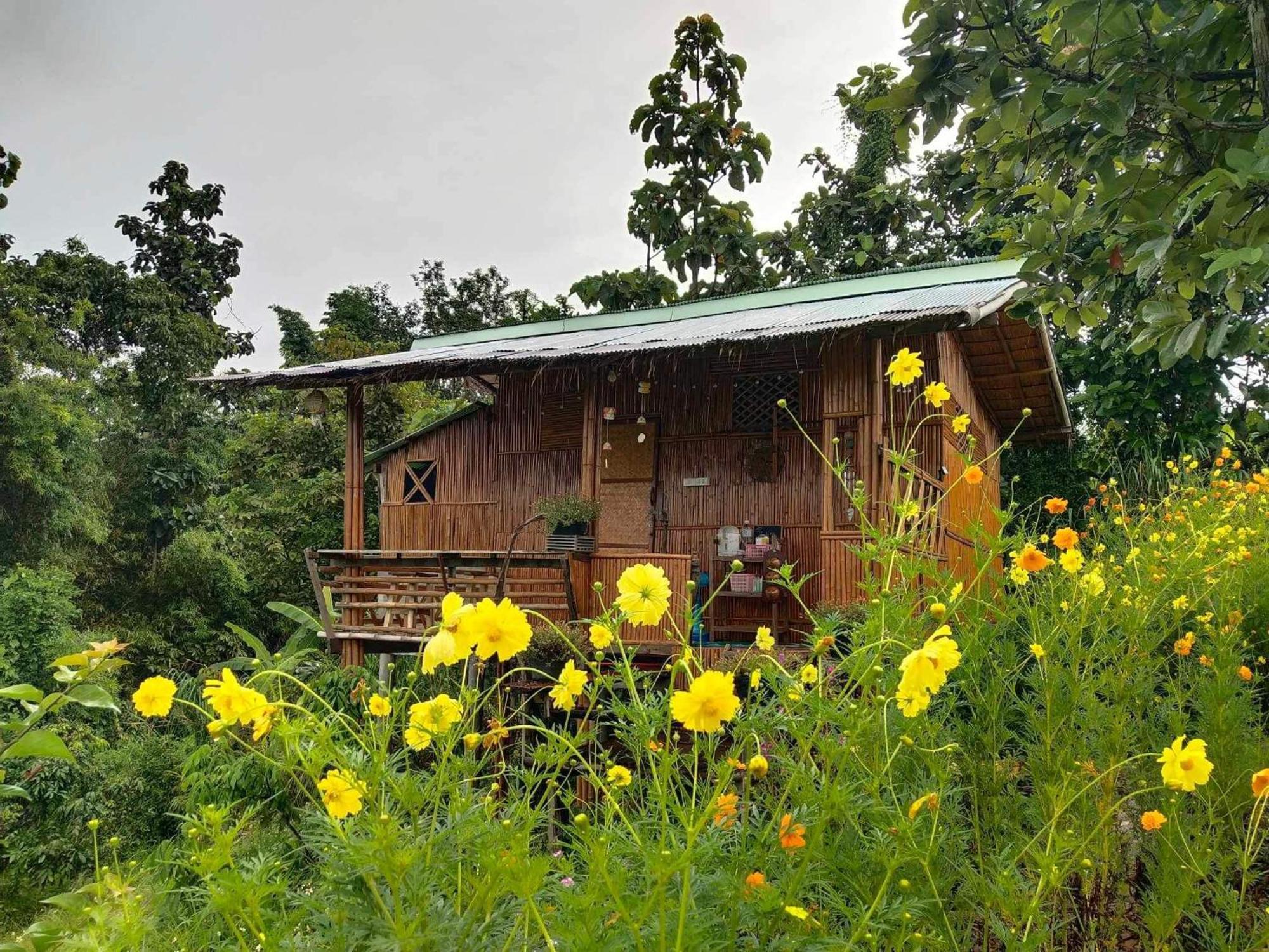 Baan 2 Dao Farmstay Чианг Дао Экстерьер фото